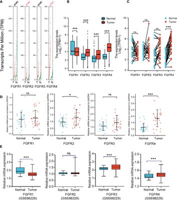 Frontiers | Comprehensive Analysis Of The Prognostic Value And Immune ...